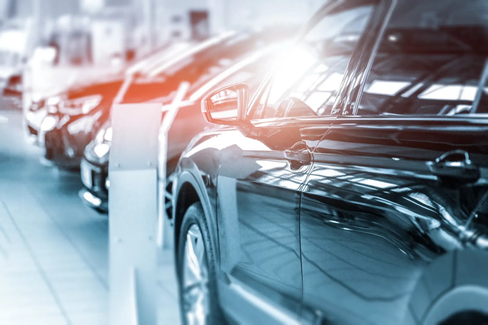 Aufbereitete Fahrzeuge in einer Reihe im Showroom – Aufbereitung für Autohäuser